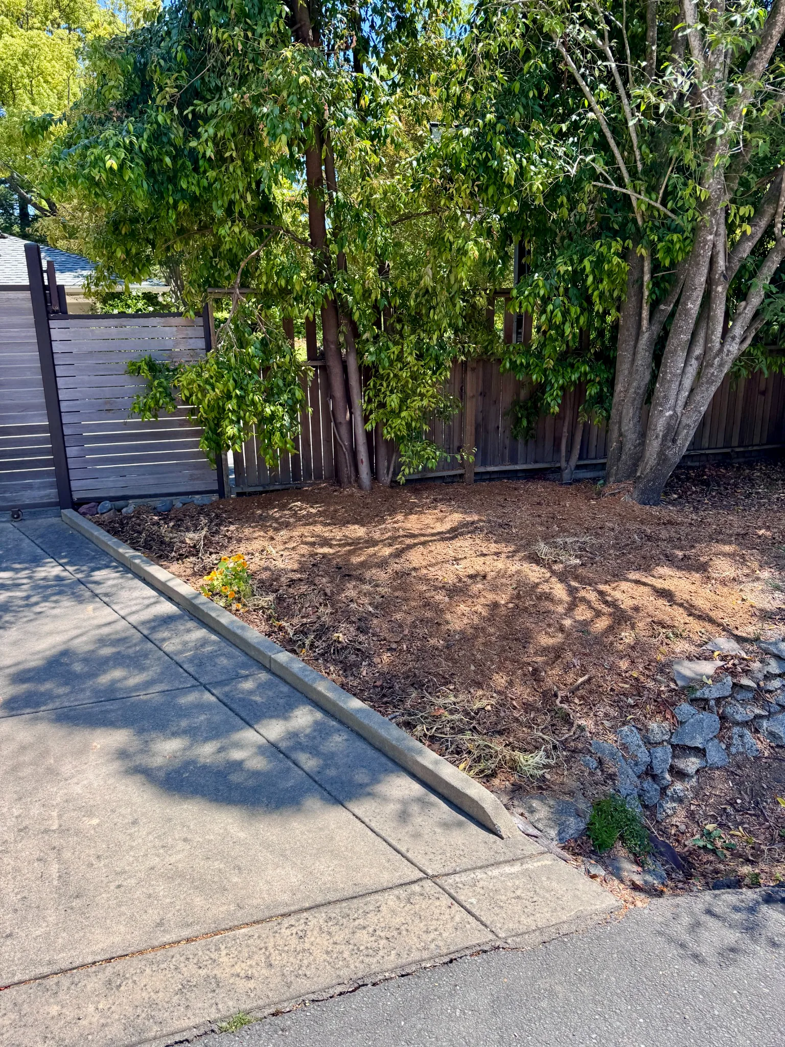 Finished landscape area after stump grinding