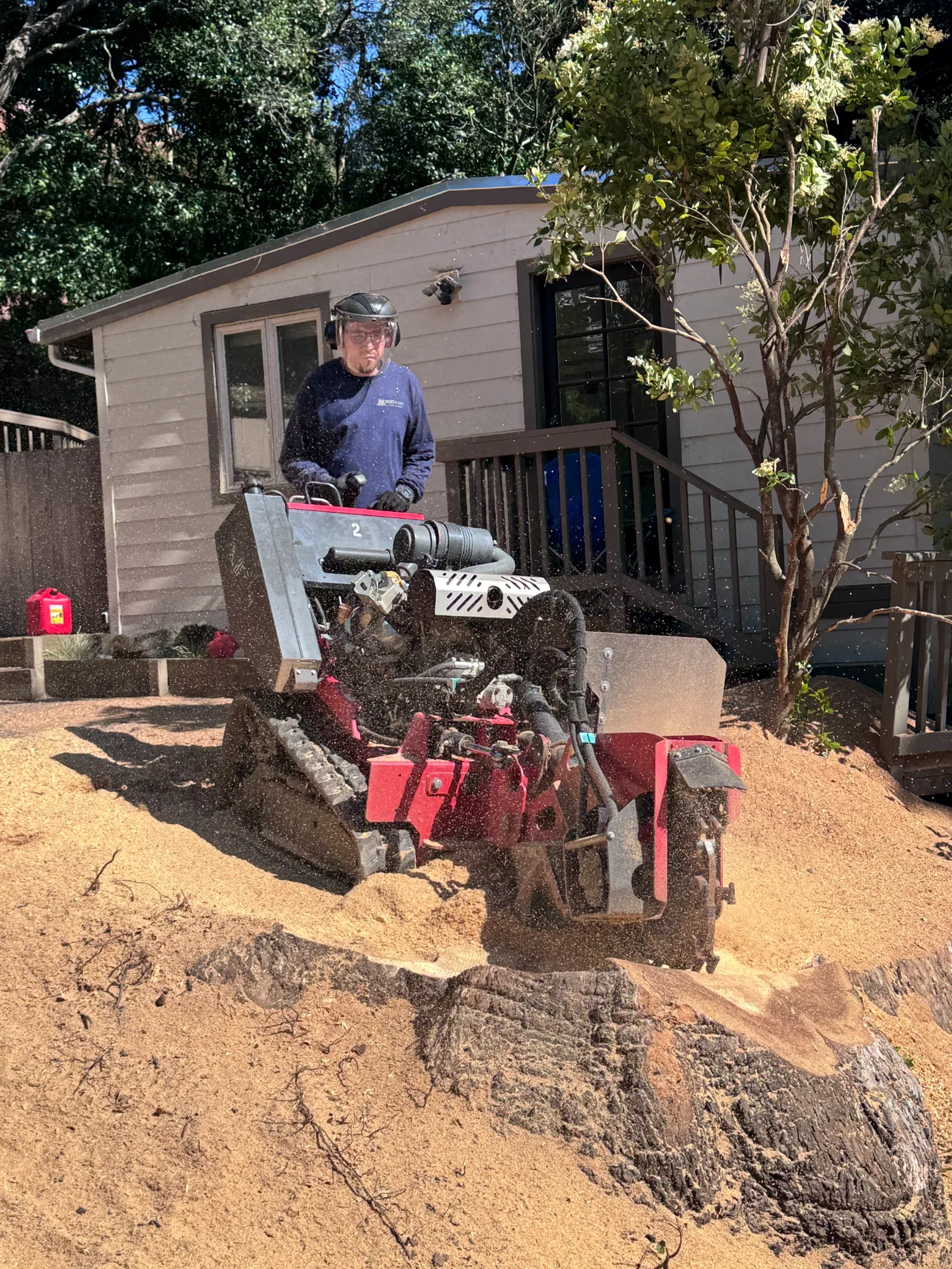 Grinding a very large stump on a hillside