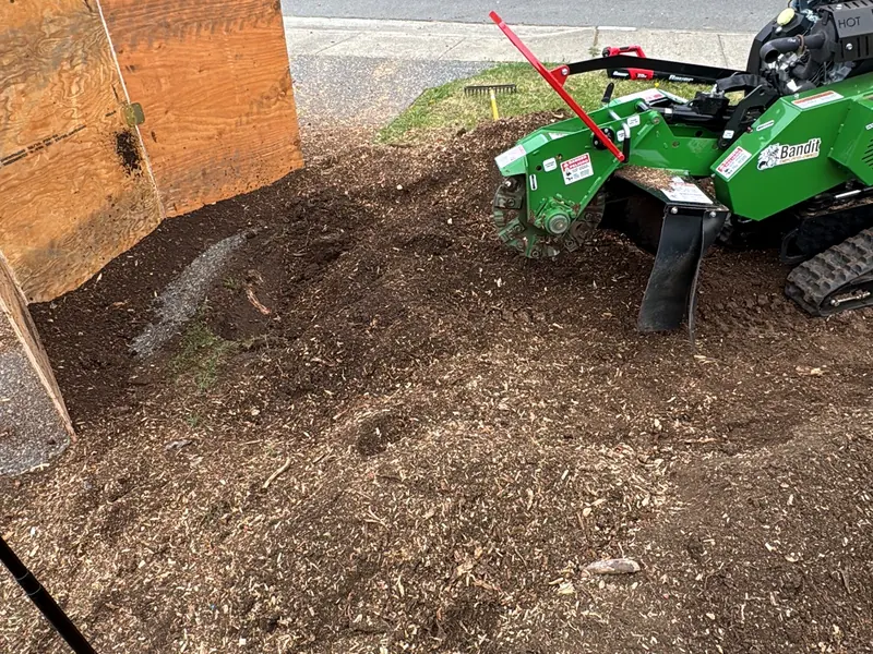 Bandit SG-40 working behind plywood barriers