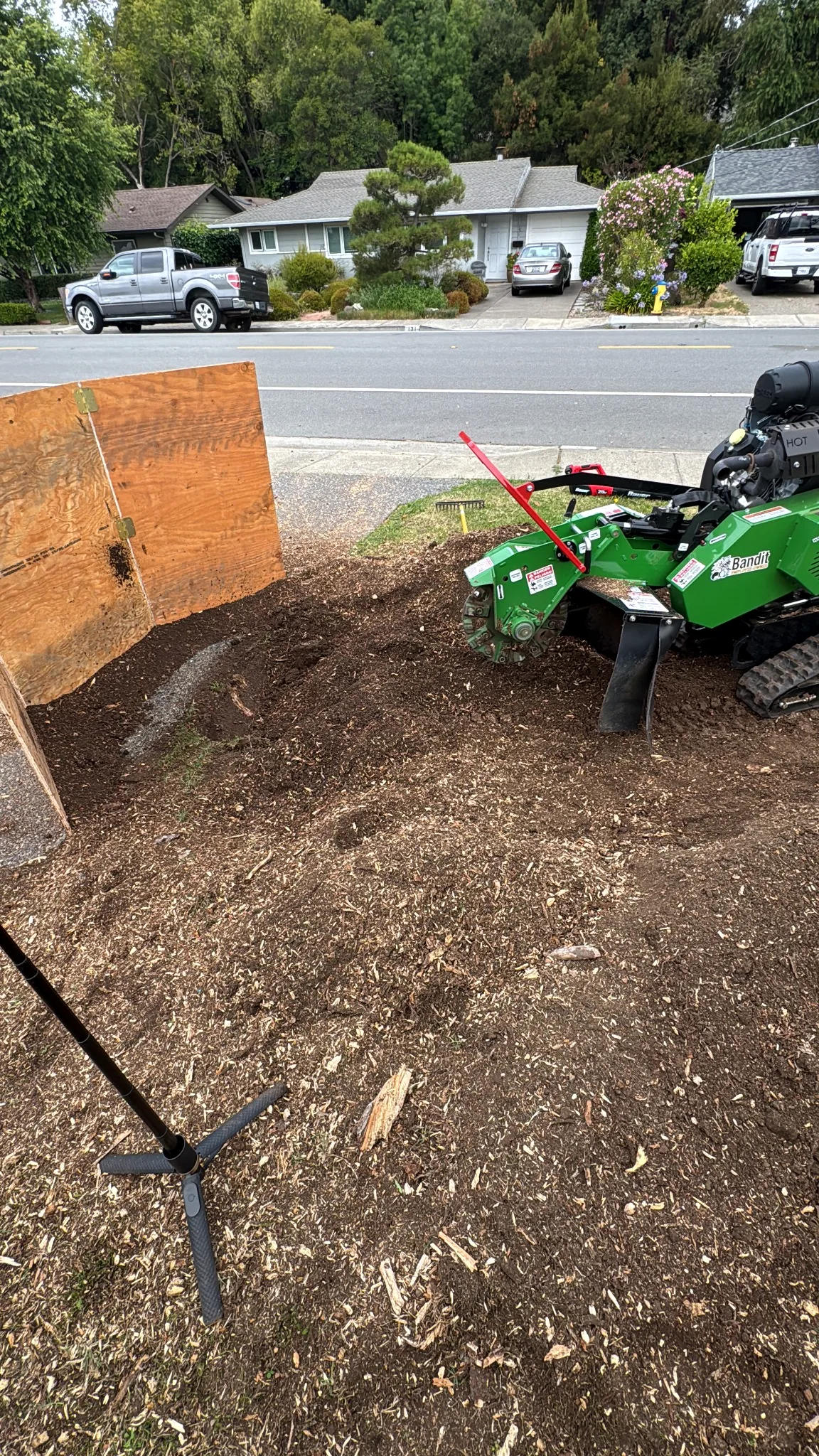 Bandit stump grinder working behind protective plywood barriers