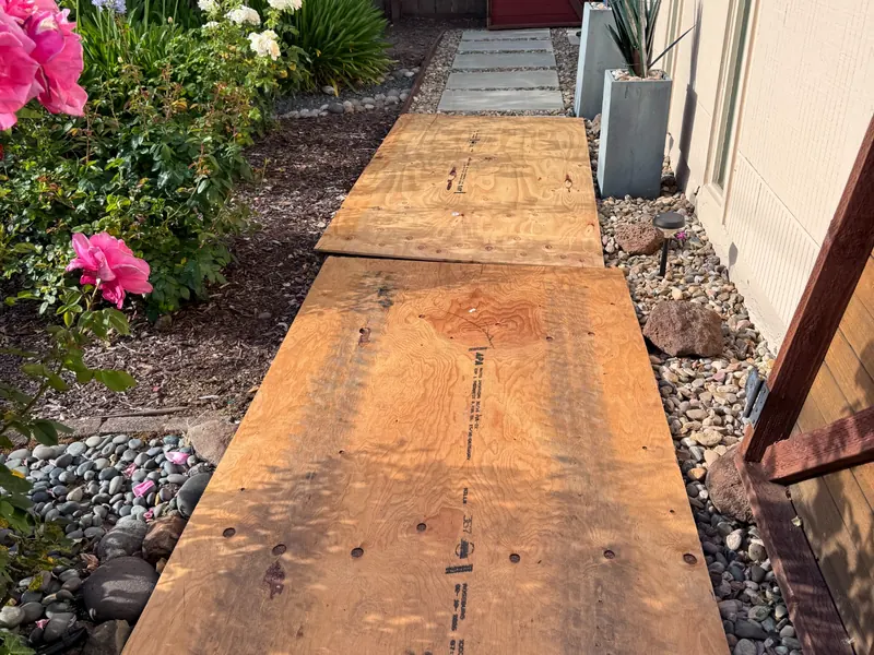 Plywood access path through a landscaped side yard