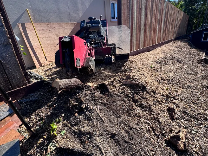 Stump grinder working on a sloped property